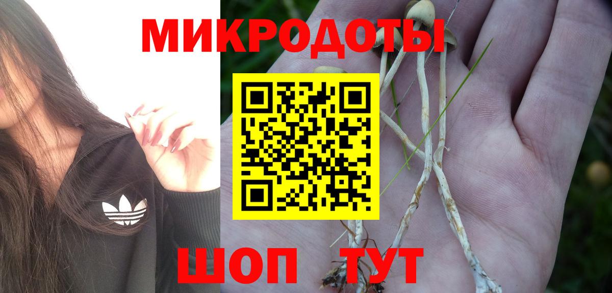 Рубцовск  Псилоцибиновые грибы ЛСД  Вход с VPN 